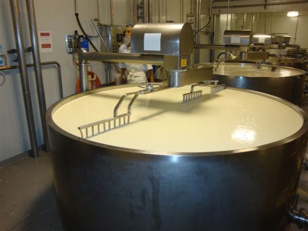 Cheese Vats - Image 3